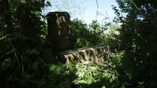 Nagrobek Eliasza Raczyńskiego, cmentarz w Dołżance