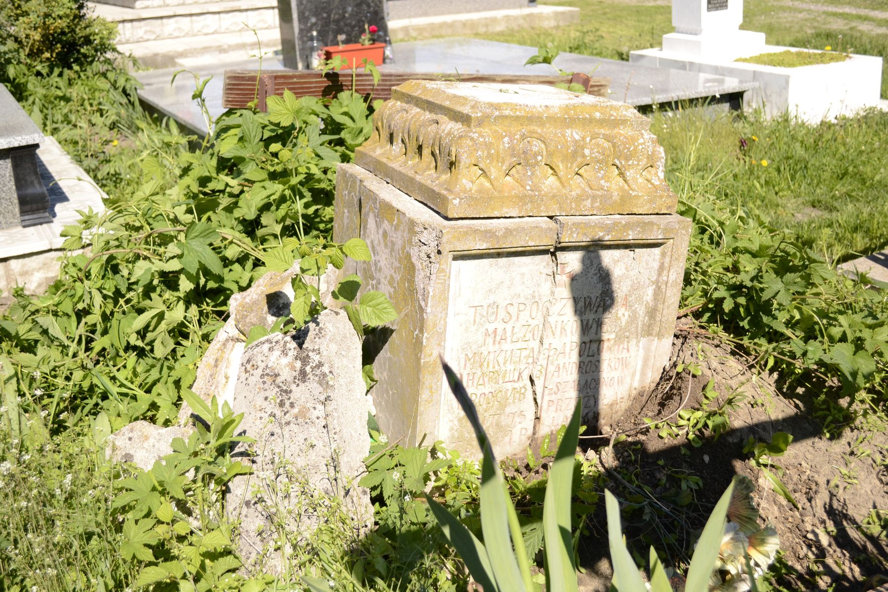 Fragment of Apolonia Androshkov's tombstone, Dolzhanka cemetery