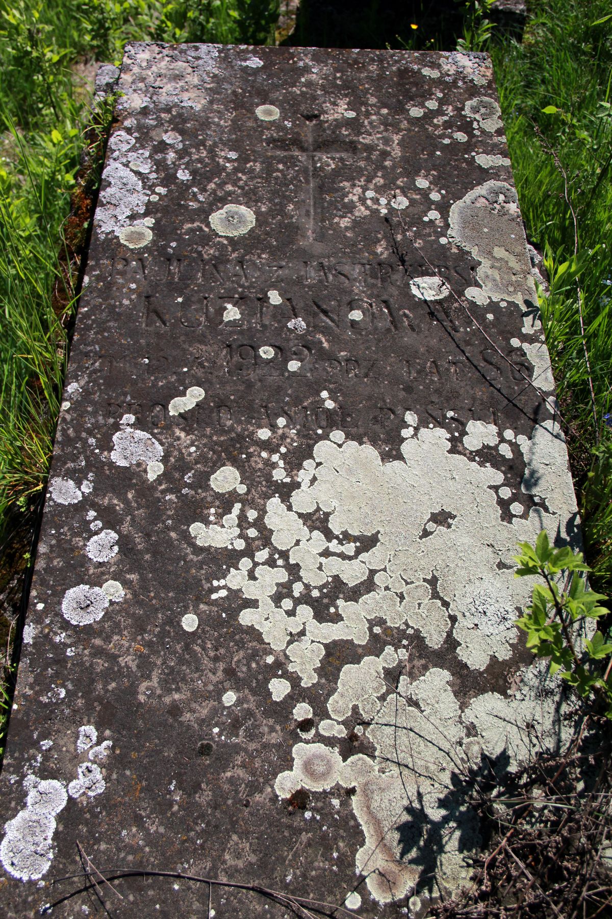 Tombstone of Paulina Kuzianowa, Lozowa cemetery