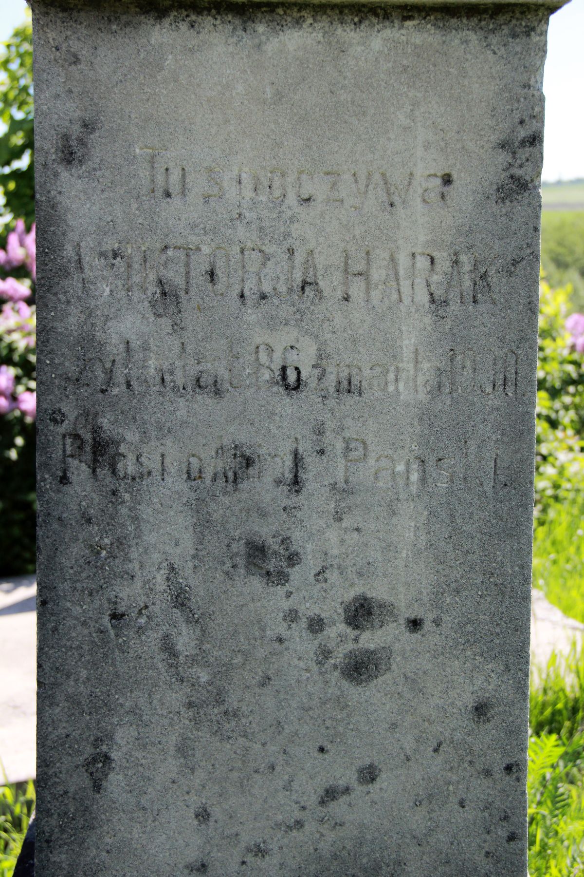 Inskrypcja z nagrobka Wiktorii Harak, cmentarz w Łozowej