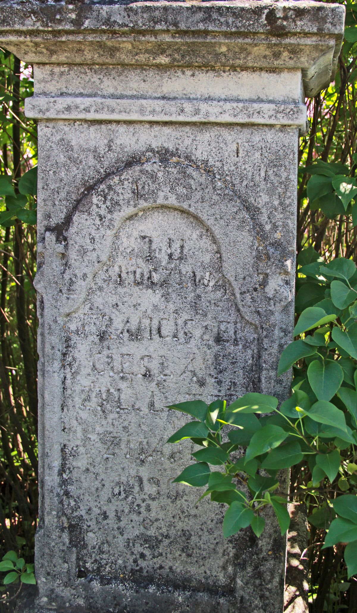 Inskrypcja z nagrobka Franciszka Cieśli, cmentarz w Łozowej