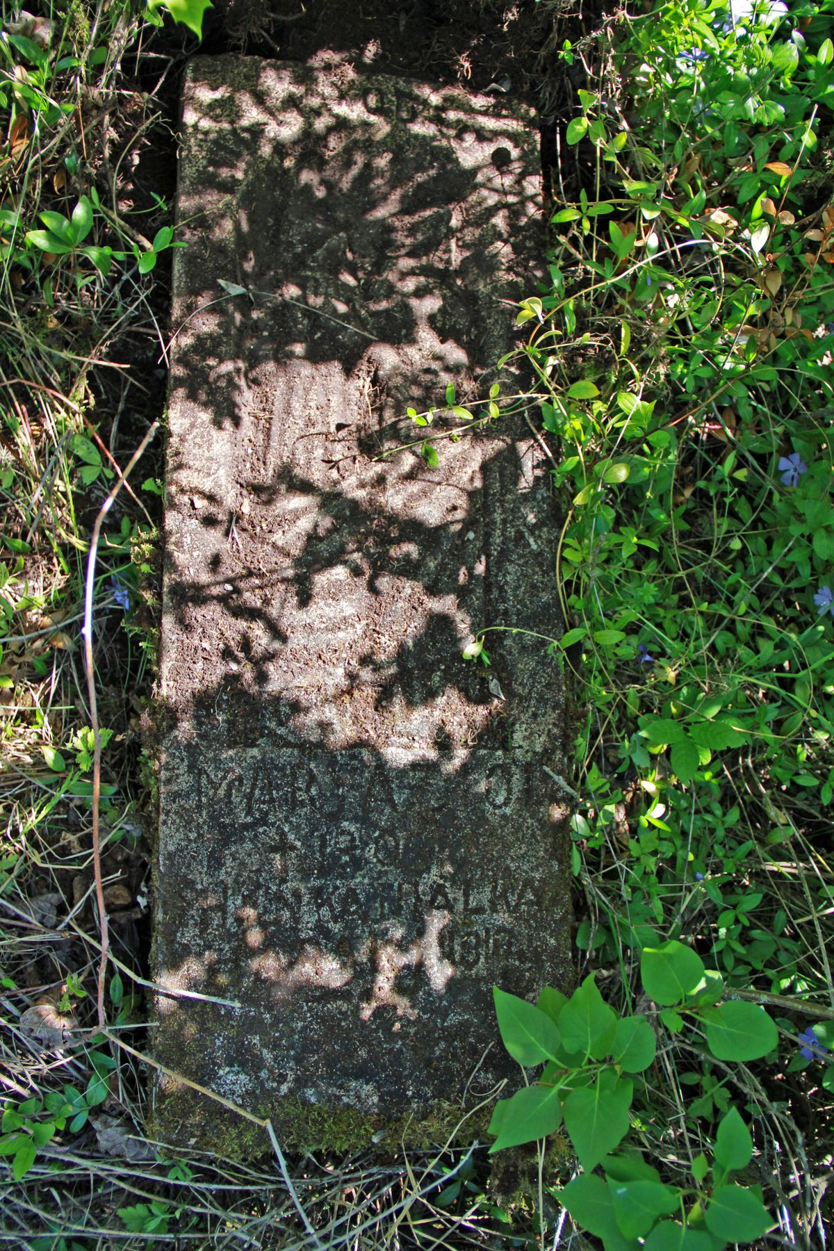 Inskrypcja z nagrobka Marii Ziol oraz Hanki i Halki Radak, cmentarz w Łozowej