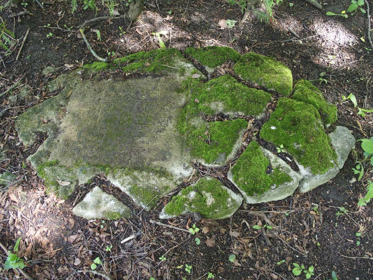 Nagrobek Adalberta Jaromiera. Cmentarz w Kokutkowcach