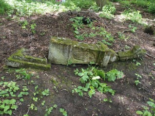 Nagrobek Józefa Kołtowskiego. Cmentarz w Kokutkowcach