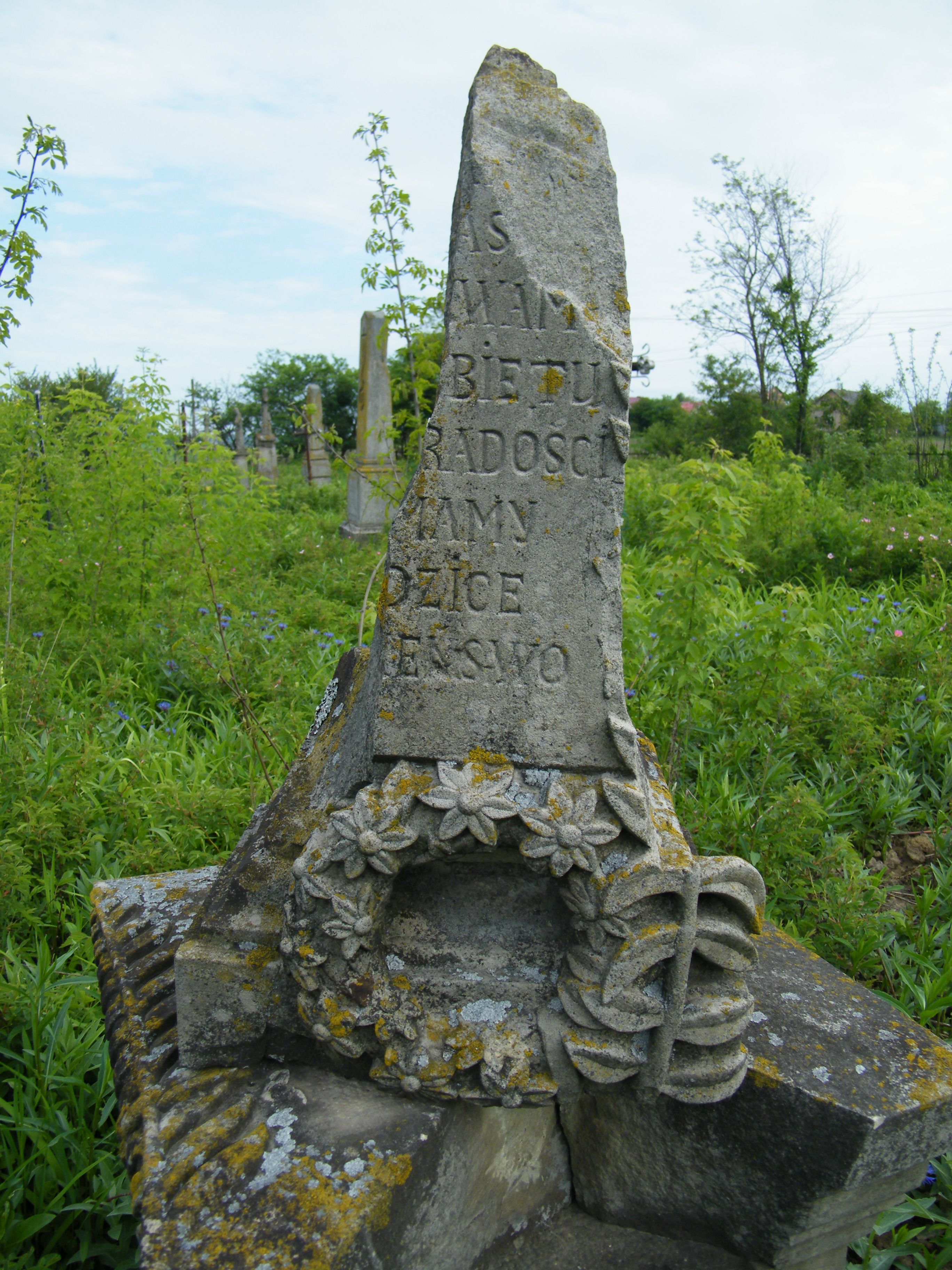 Tombstone of Franciszek Gawlicz, cemetery in Smykowce