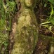 Photo montrant Tombstone of Agnieszka Stepek