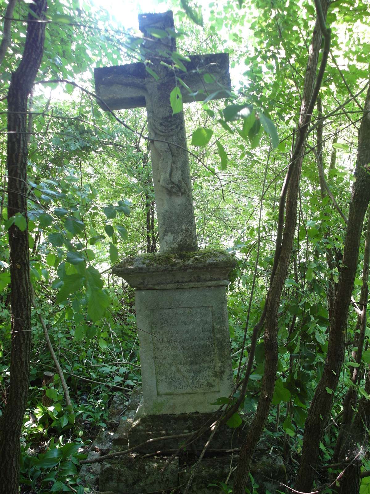 Tombstone of Wladyslaw Vlodzieniec. Cemetery in Kokutkowce