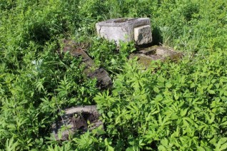 Nagrobek Bazylego Jaworskiego, cmentarz w Cebrowie