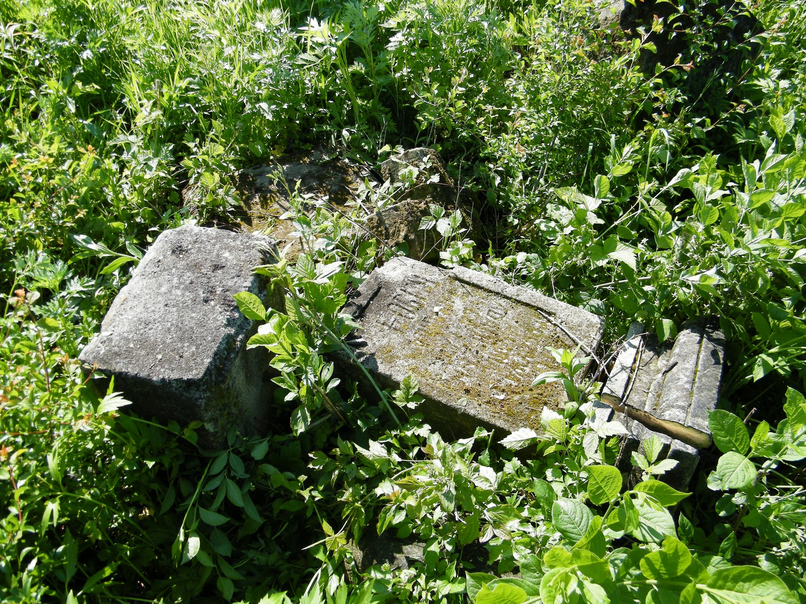 Fragment of Maria Adamiszyn's gravestone. Cemetery in Cebrów