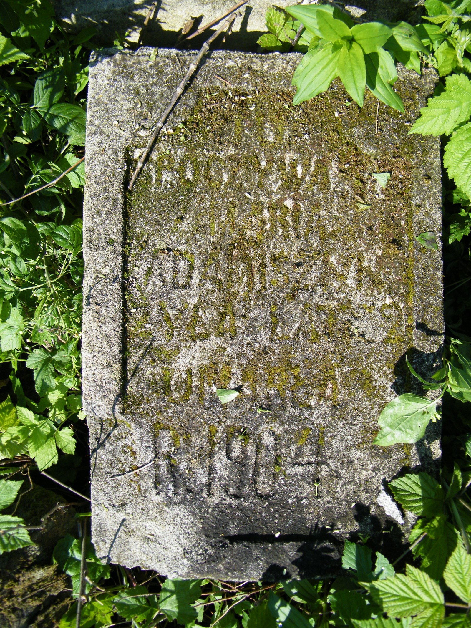 Inskrypcja z nagrobka Marii Adamiszyn. Cmentarz w Cebrowie