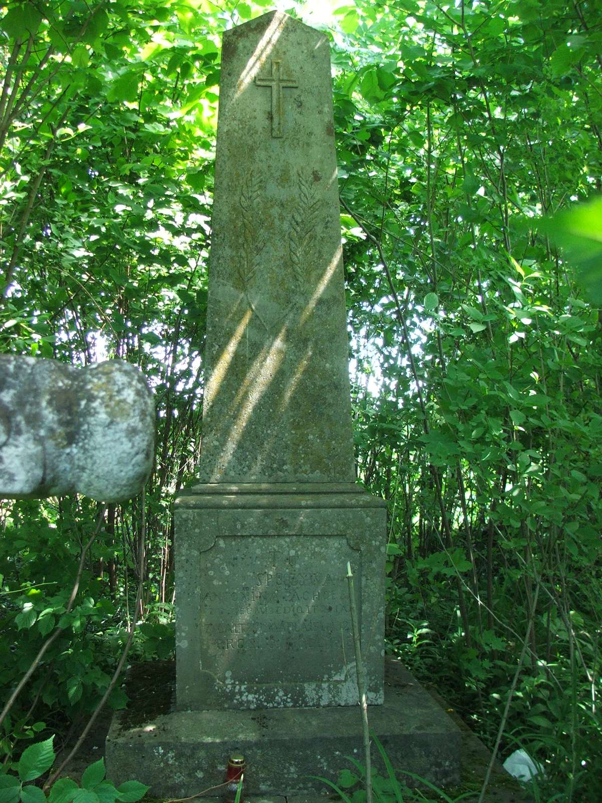 Tombstone of Antonina, Edward and Jan Pachołek, cemetery in Borki Wielkie