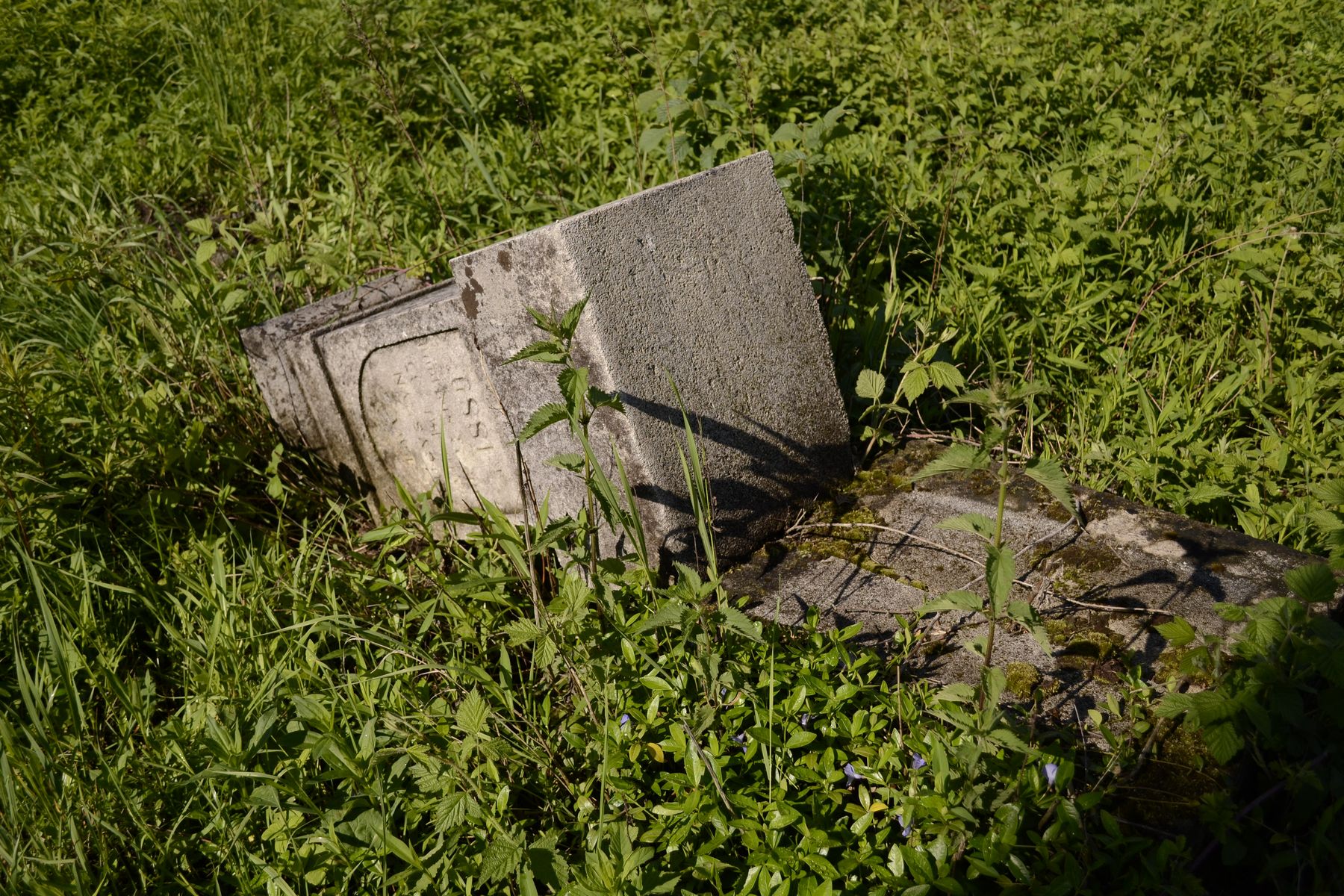 Tombstone of Ewa Lucyszyn. Cemetery in Cebrów