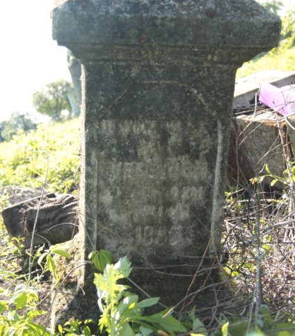 Nagrobek N.N. Werciucha. Cmentarz w Cebrowie