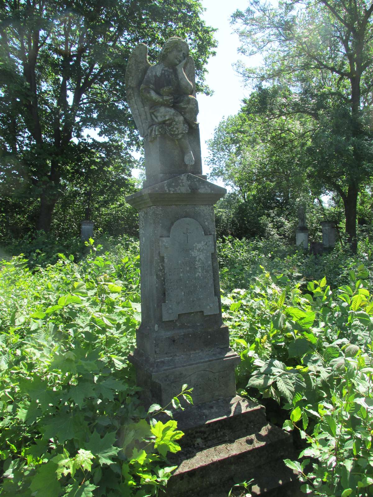 Tombstone of Franciszek Bednarczuk, cemetery in Borki Wielkie
