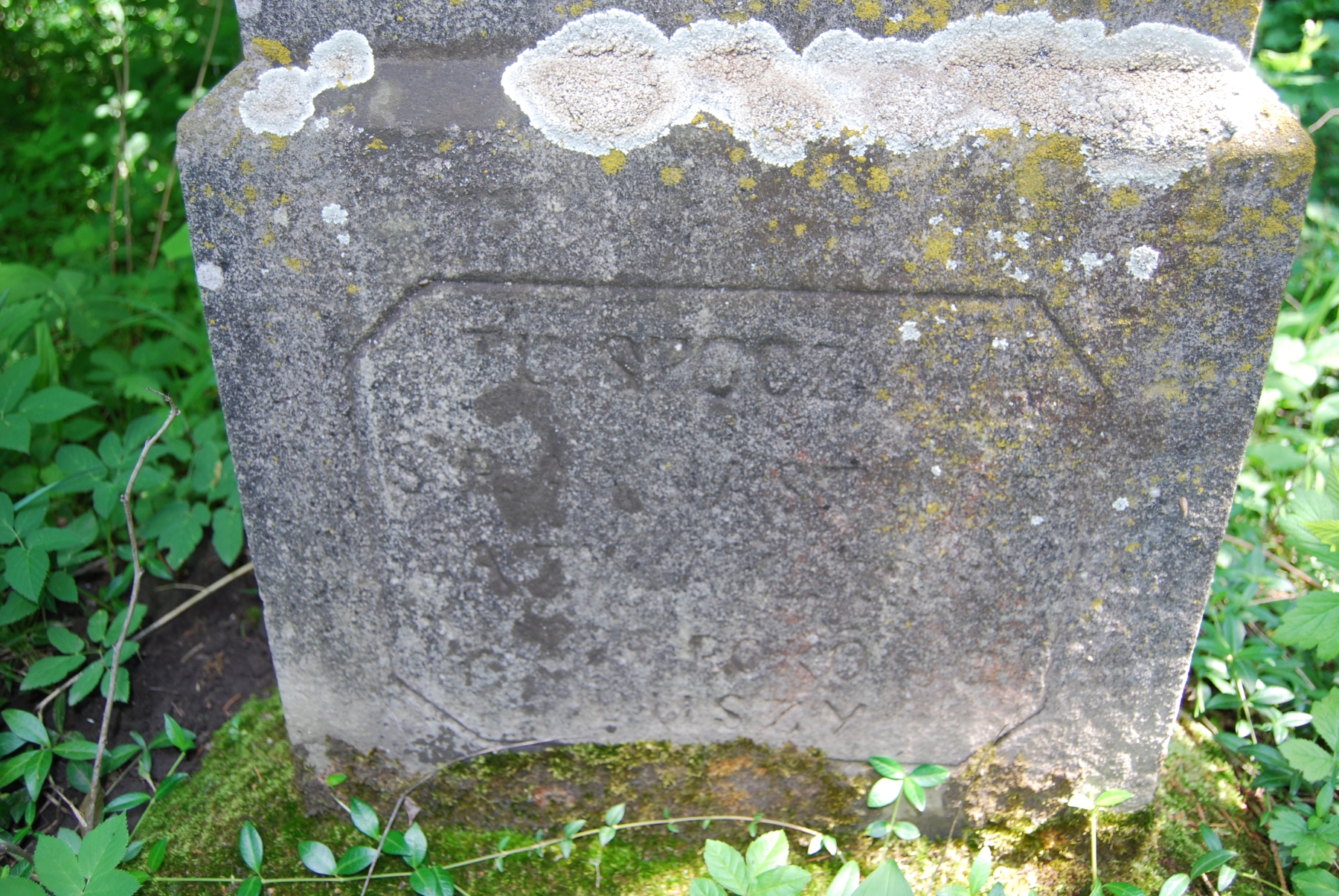 Tombstone of Anna Stuowa, cemetery in Borki Wielkie