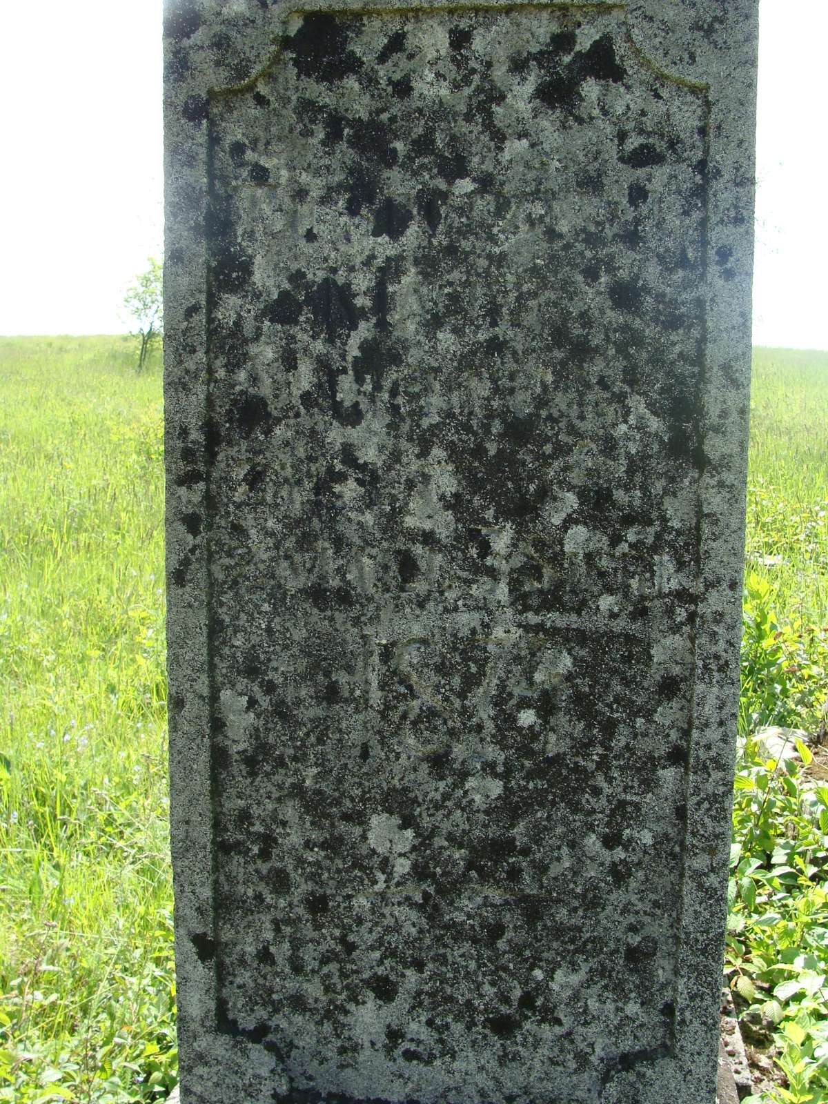 Inskrypcja z nagrobka Macieja Marchewki, cmentarz w  Czernielowie Ruskim