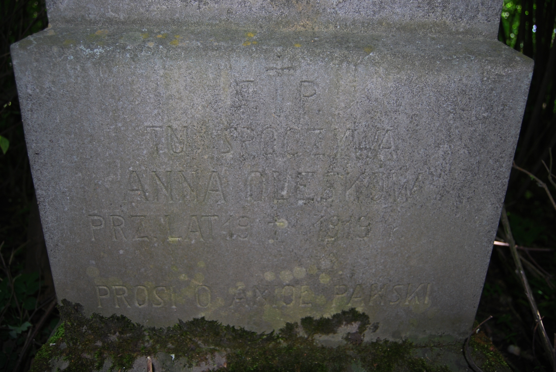 Fragment nagrobka Anny Oleskow, cmentarz w Borkach Wielkich