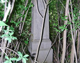 Nagrobek Anny Oleskow, cmentarz w Borkach Wielkich