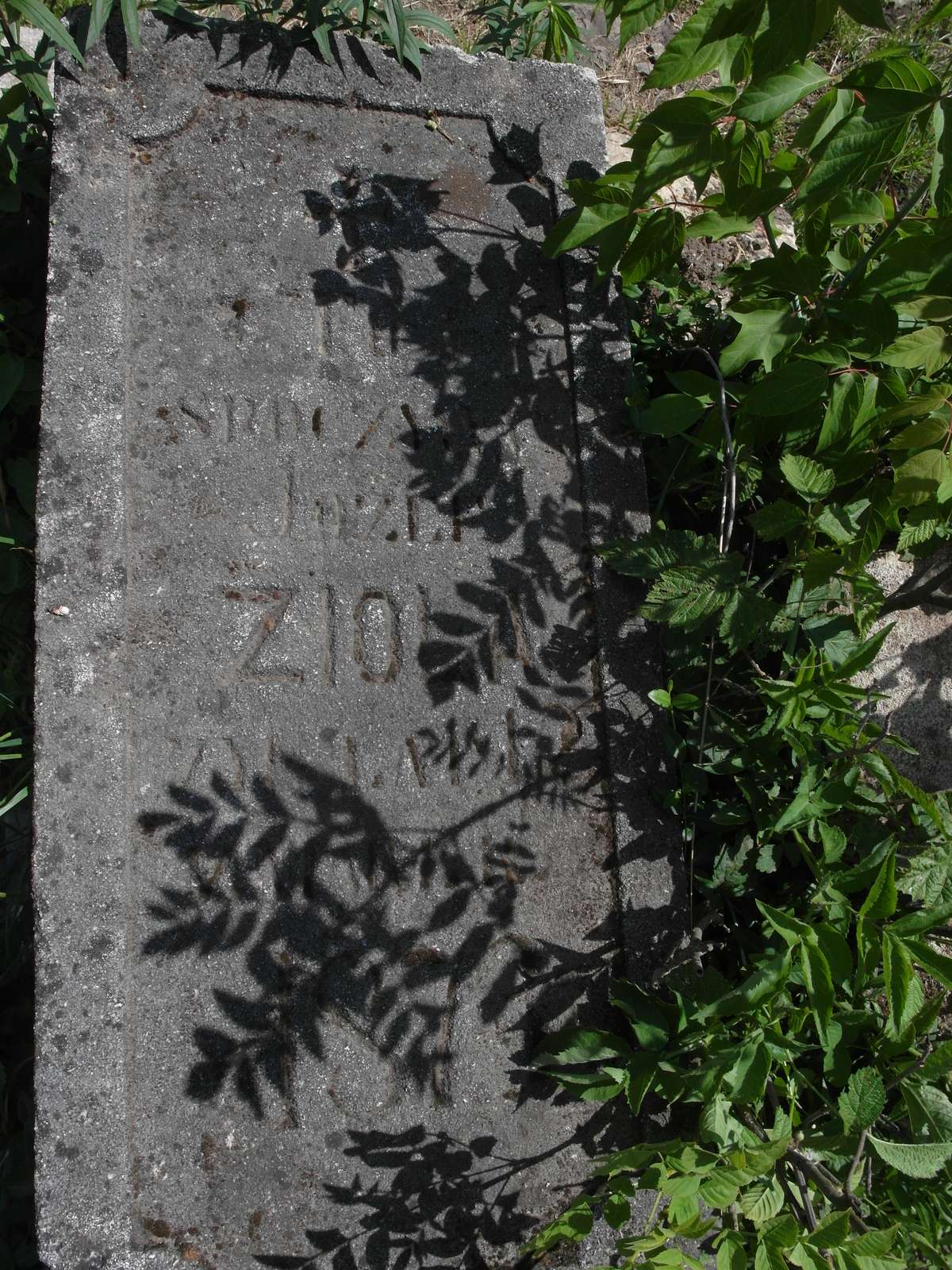 Fragment nagrobka Józefa Zioły, cmentarz w Borkach Wielkich