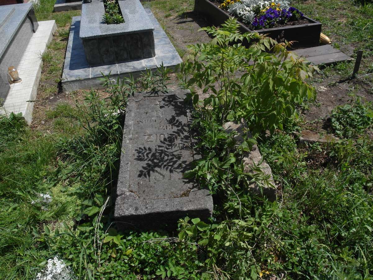 Nagrobek Józefa Zioły, cmentarz w Borkach Wielkich