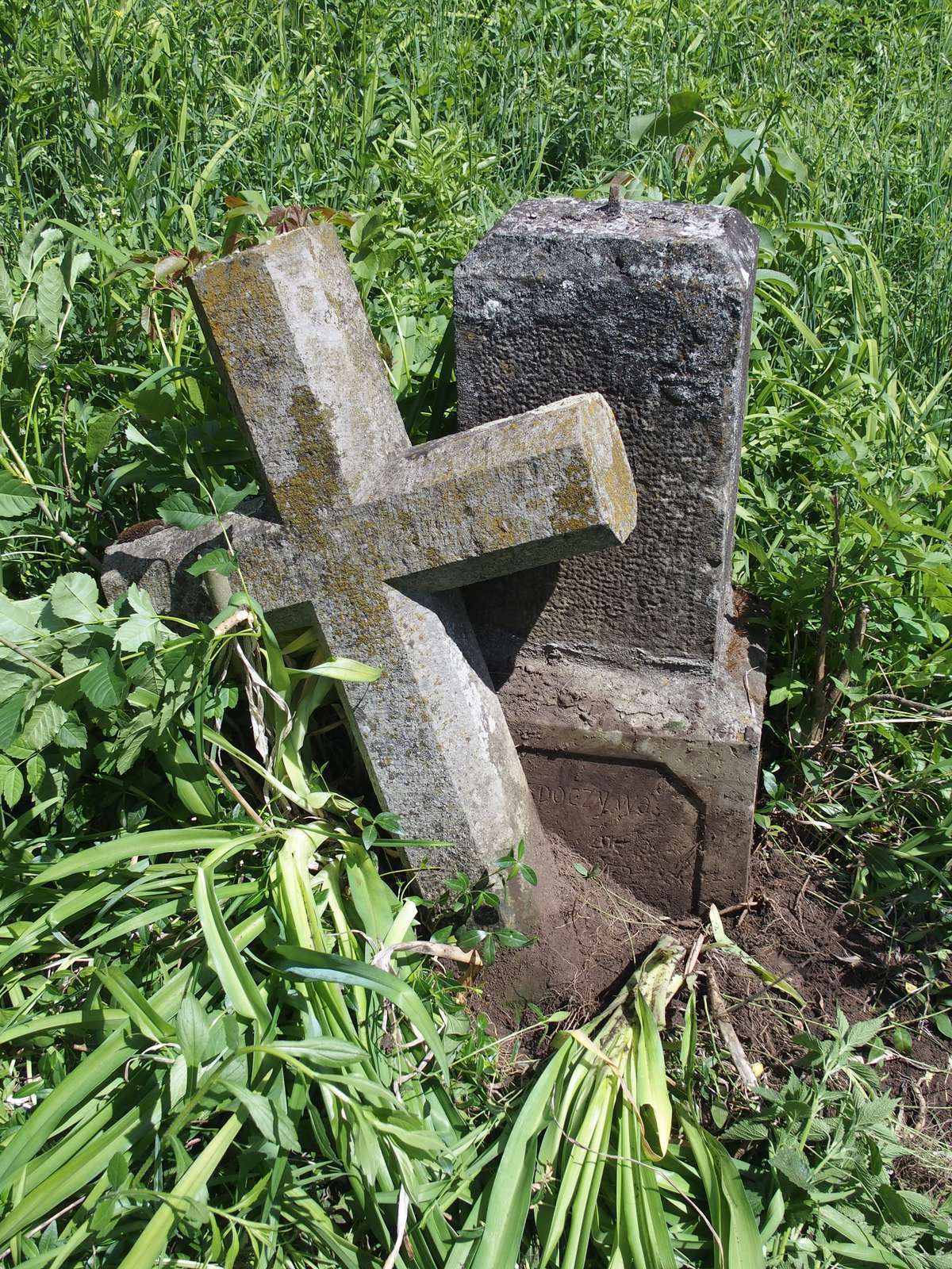 Gravestone of Maria Zioła, cemetery in Borki Wielkie