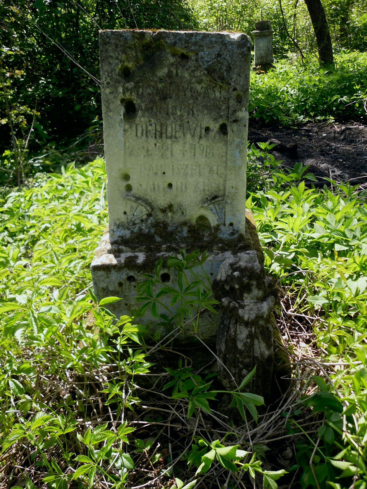 Tombstone of the Dendewicz family, Kozlowo cemetery