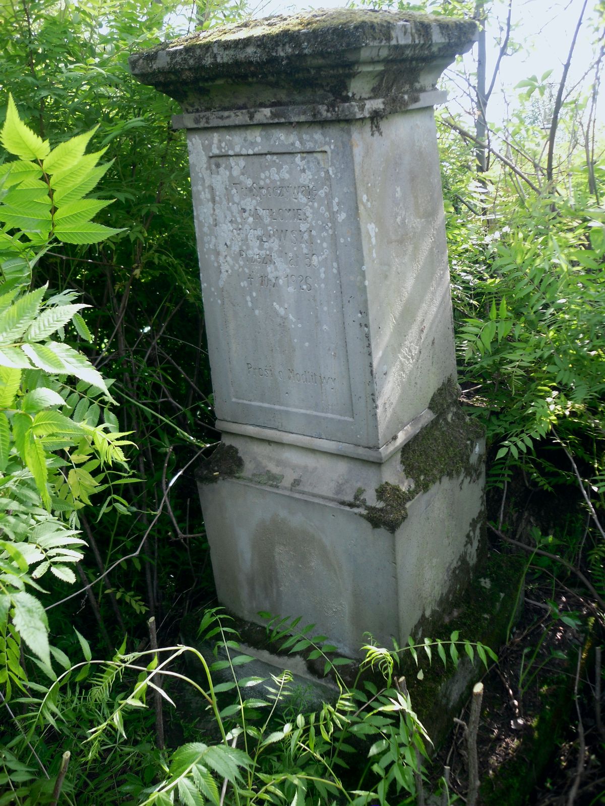 Tombstone of Bartholomew Sokolowski, Kozlowo cemetery