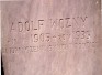 Fotografia przedstawiająca Tombstone of Adolf Woźny