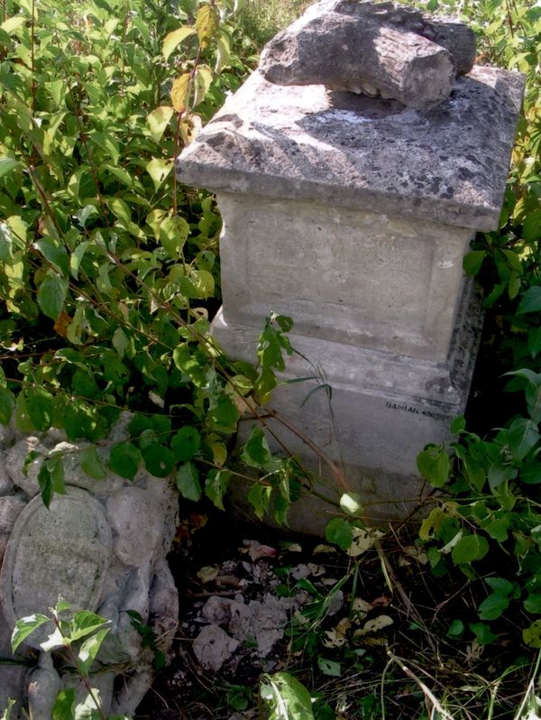 Tombstone Franz D., Strusov cemetery