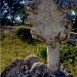 Photo montrant Gravestone of Franciszka Koncur and Franciszka Koncur