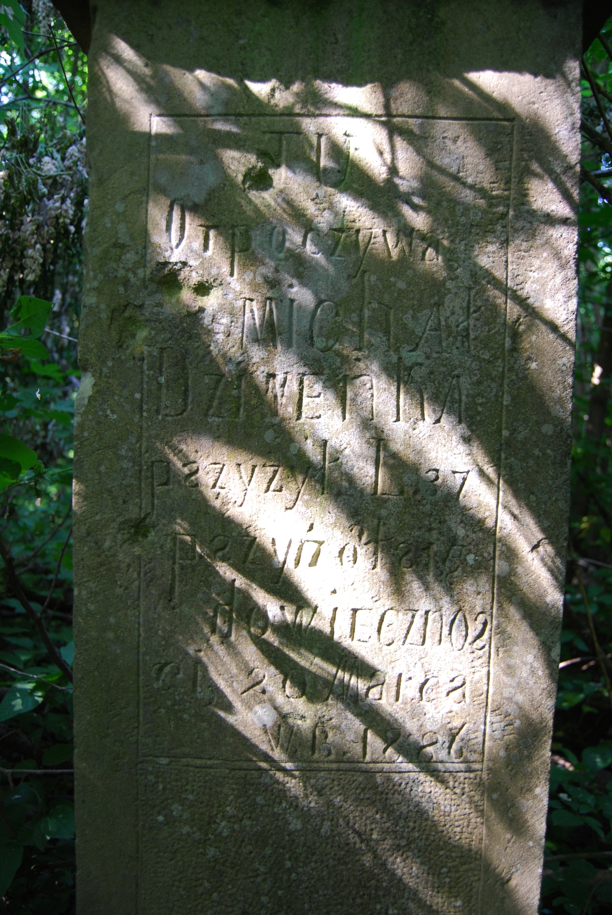 Inskrypcja z nagrobka Michała Dziwenki, cmentarz w Bucniowie