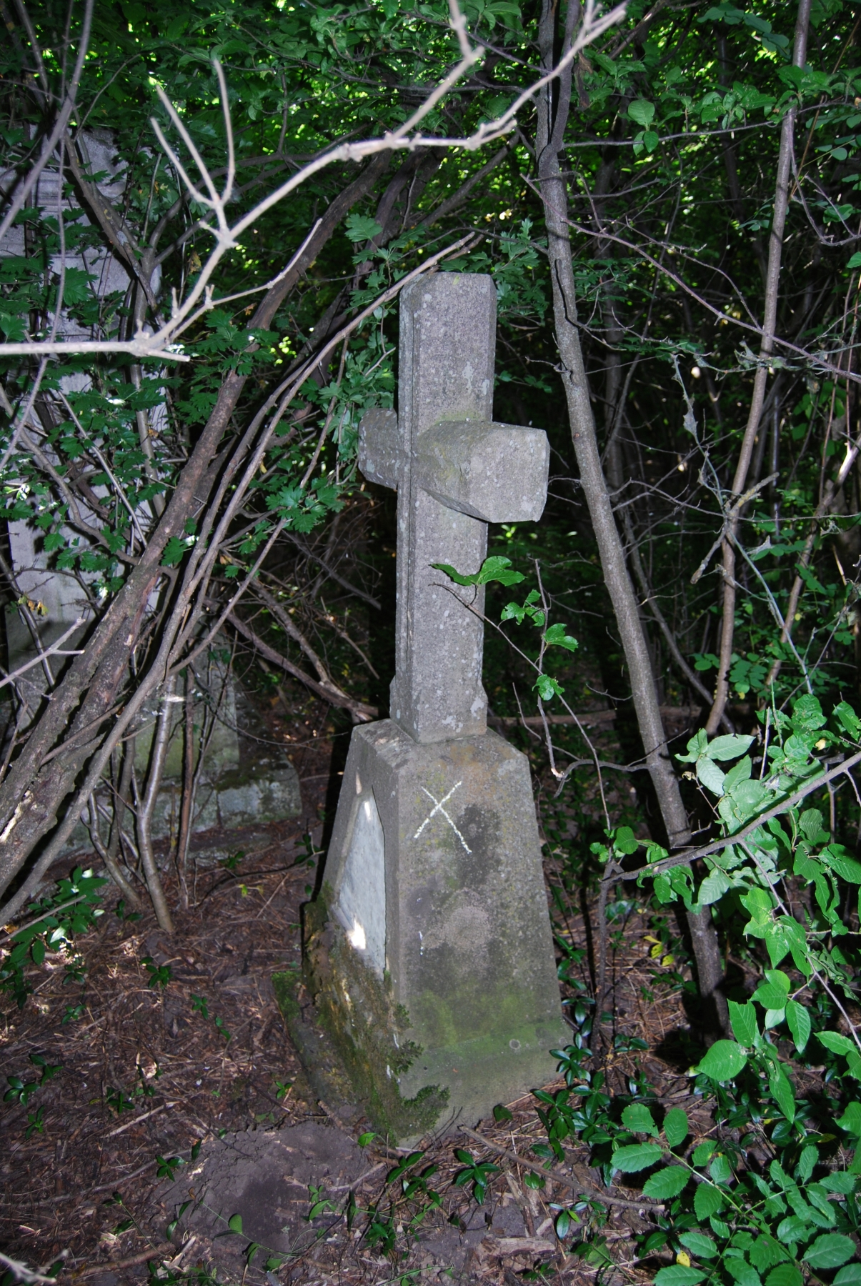 Tombstone of Barbara Prokopowicz, Bucniowie cemetery