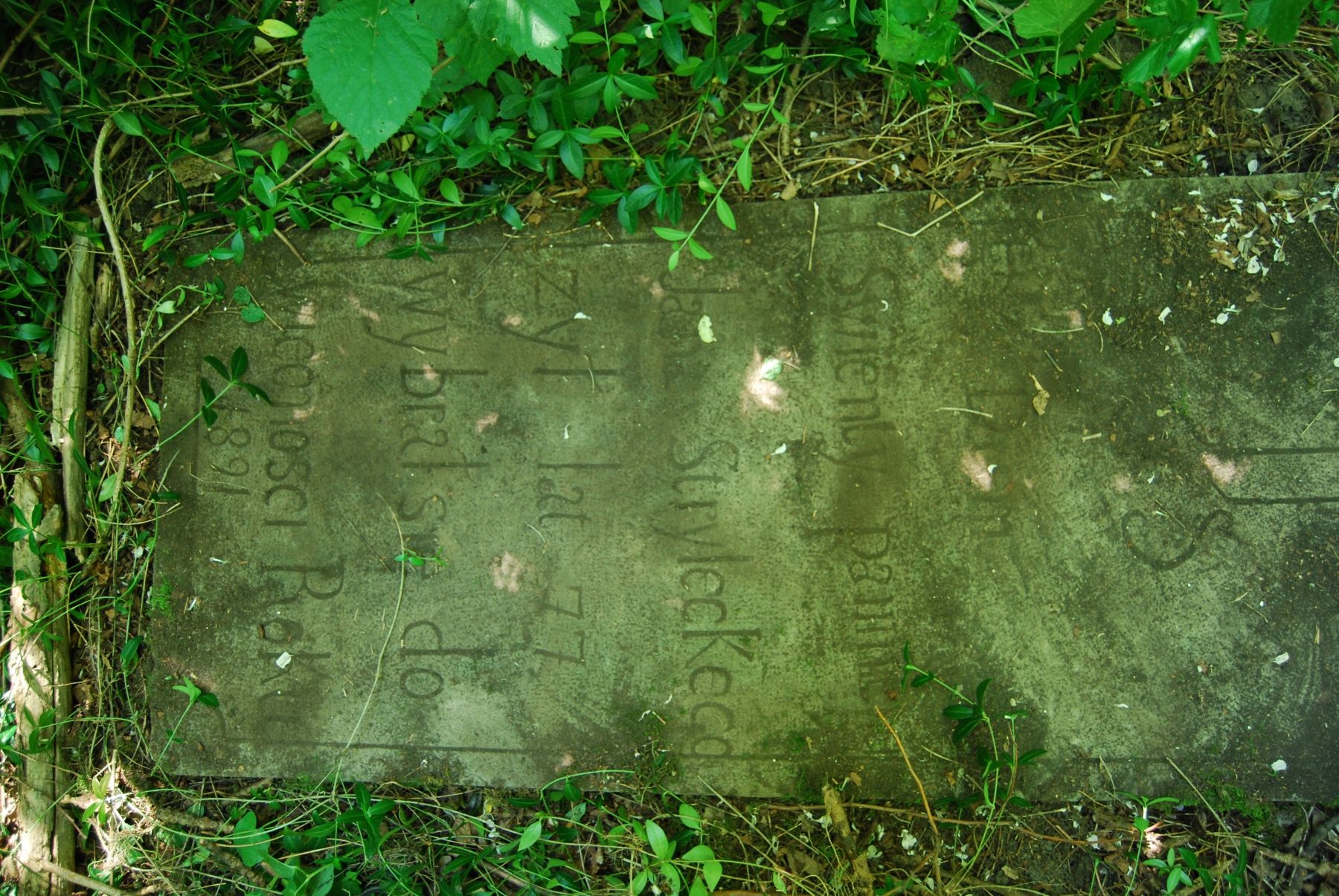 Inskrypcja z nagrobka Jana Stryleckiego, cmentarz w Bucniowie