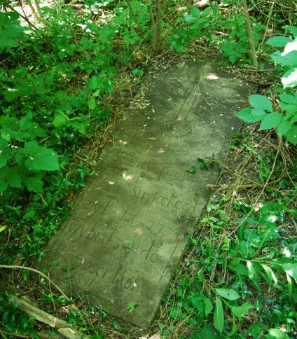 Nagrobek Jana Stryleckiego, cmentarz w Bucniowie