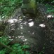 Альтернативний текст фотографії