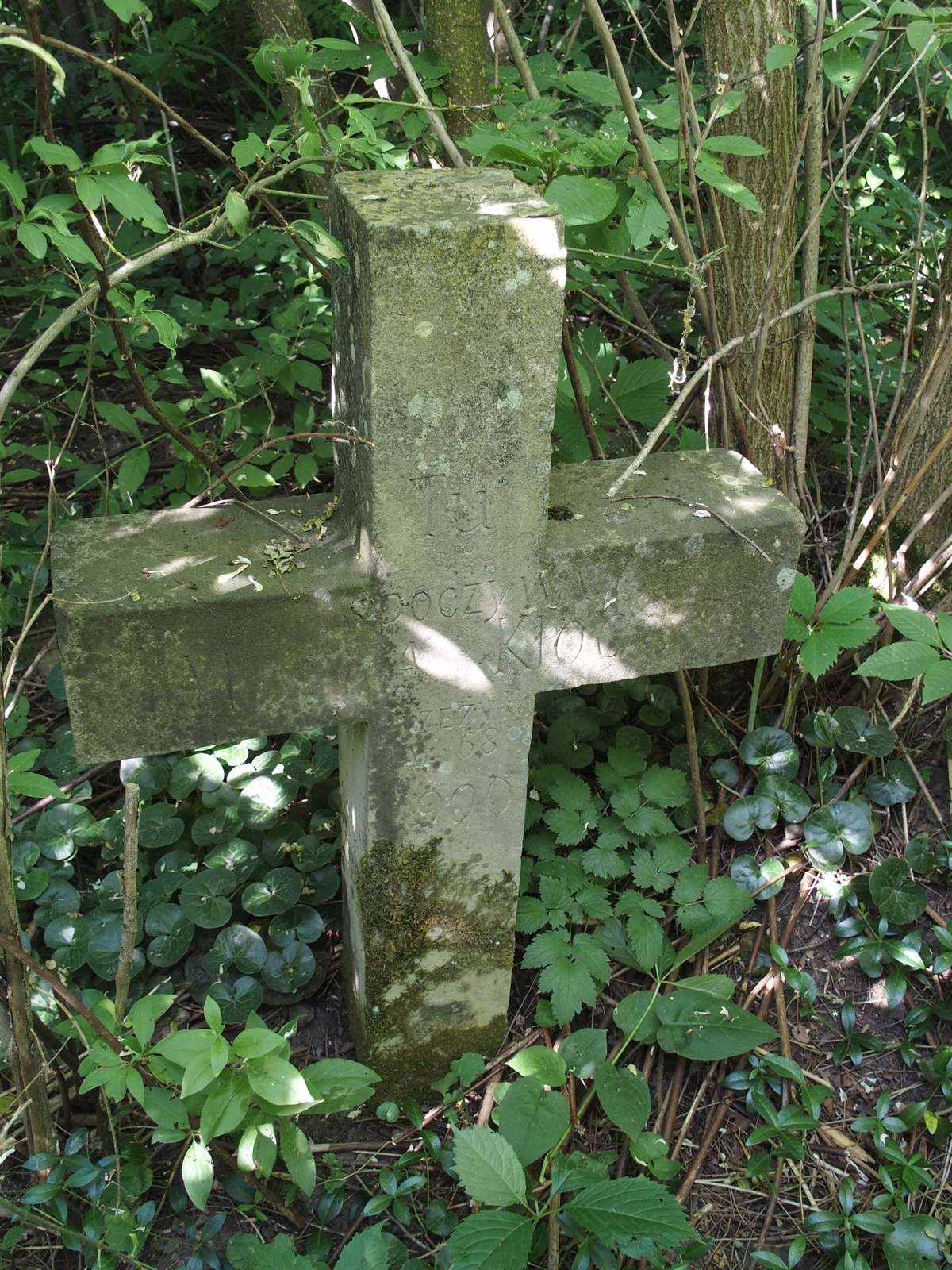 Nagrobek Marii Kloc, cmentarz w Bucniowie