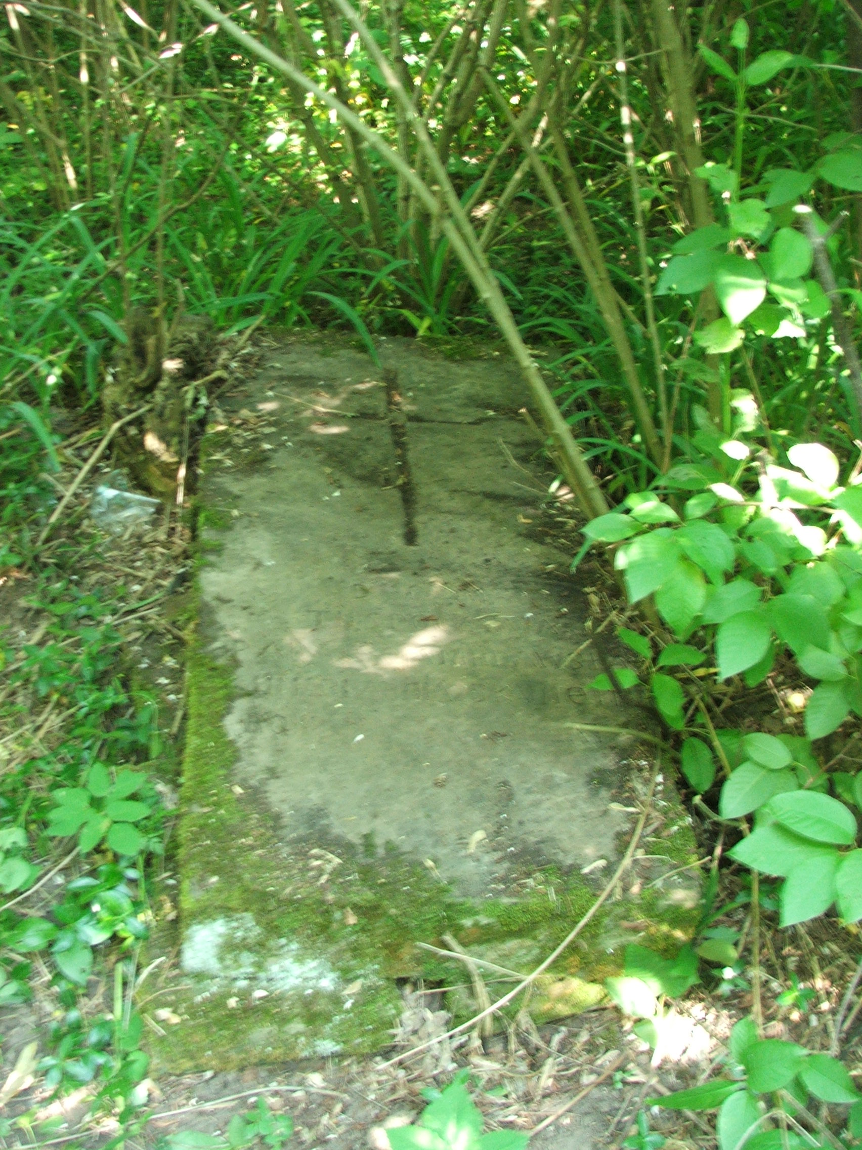Nagrobek Paraksei Murawskiej, cmentarz w Bucniowie