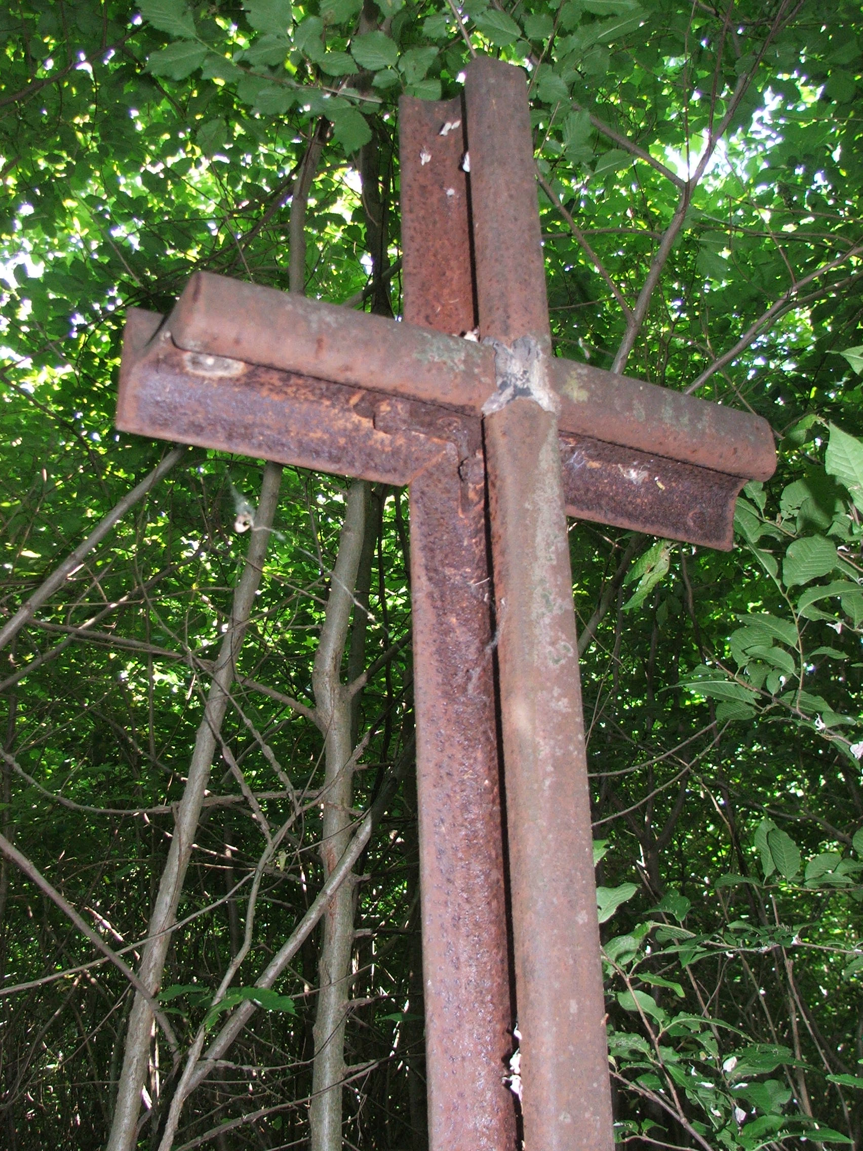 Krzyż z nagrobka Kazimierza Hedzińskiego, cmentarz w Bucniowie