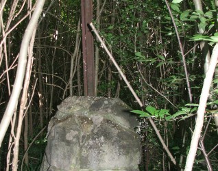 Nagrobek Kazimierza Hedzińskiego, cmentarz w Bucniowie