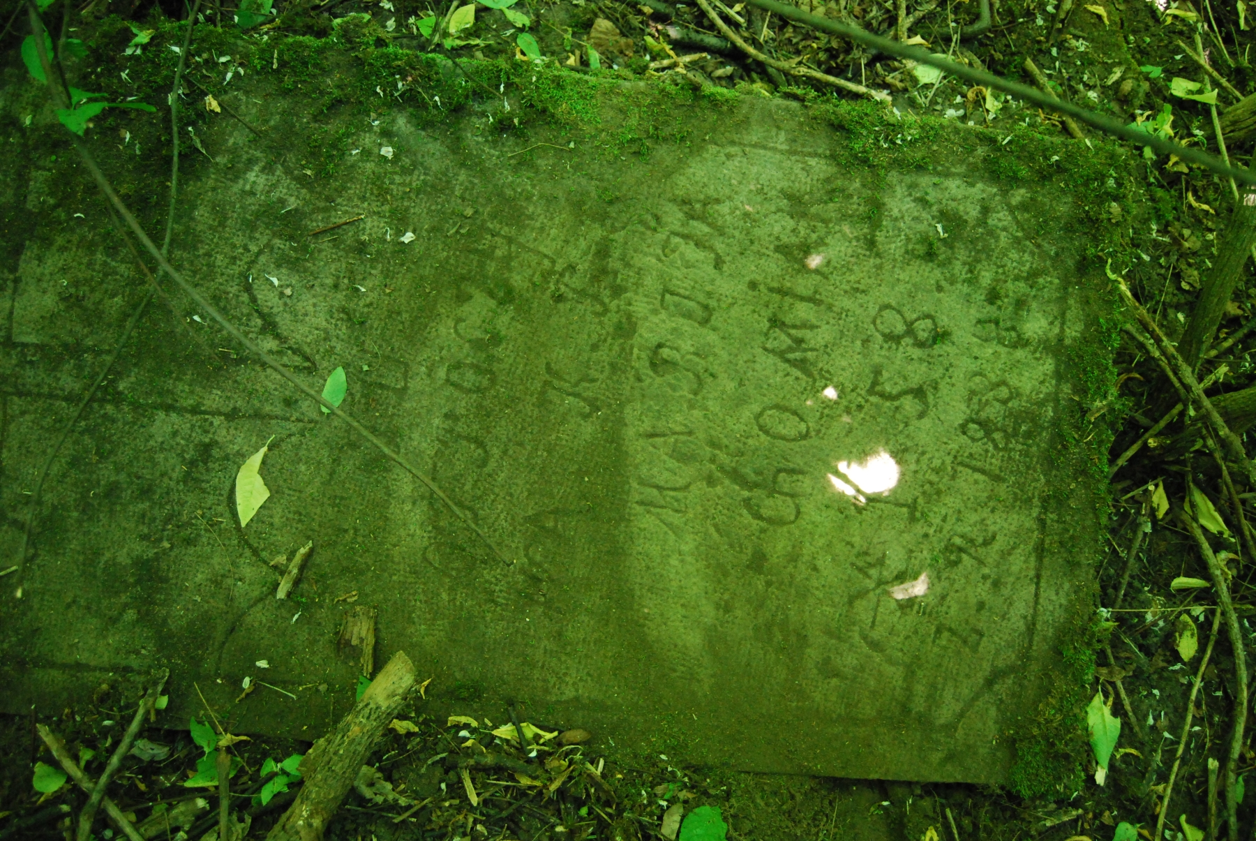 Inskrypcja z nagrobka Marii Chomiak, cmentarz w Bucniowie