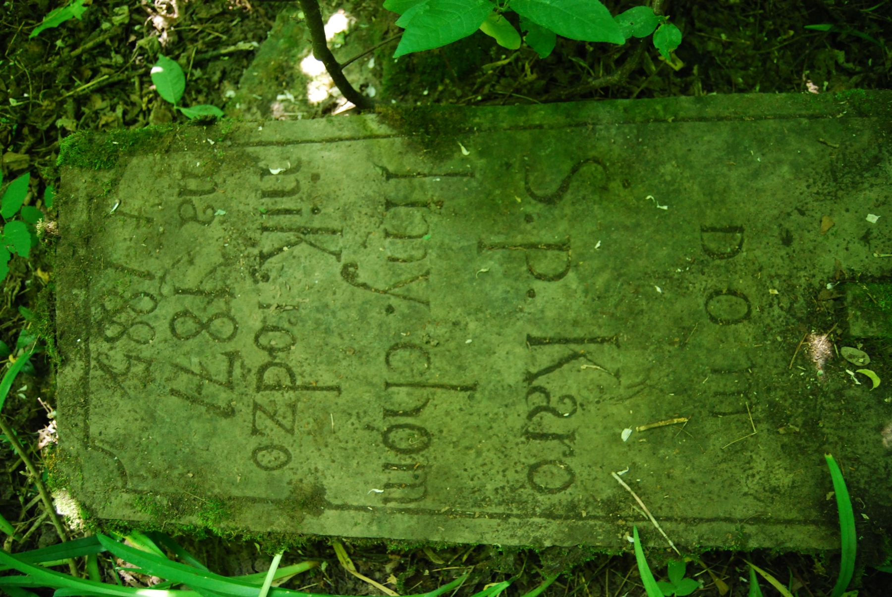 Inscription from the tombstone of Karolina Chomnik, Bucniowie cemetery