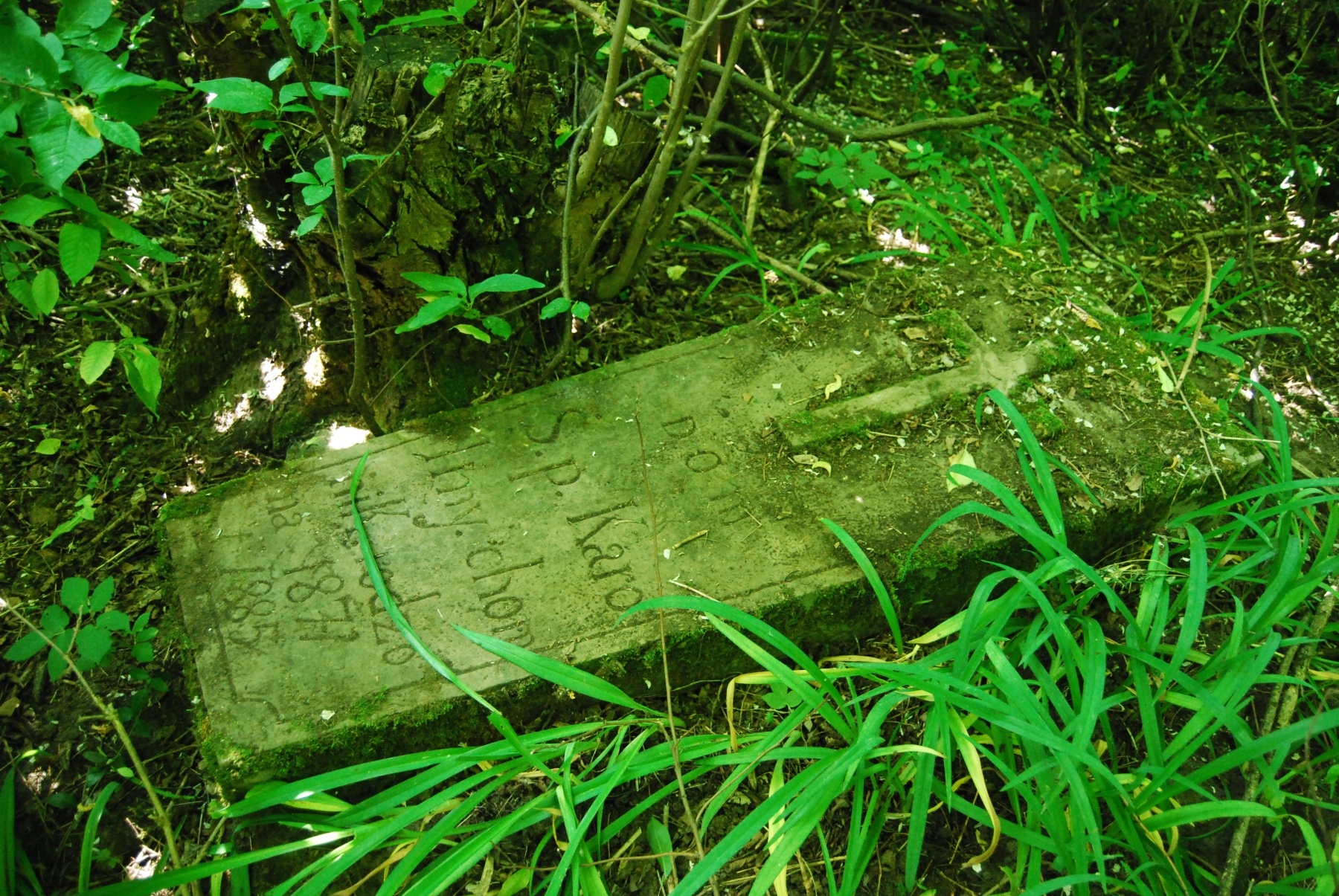 Tombstone of Karolina Chomnik, cemetery in Bucniowie