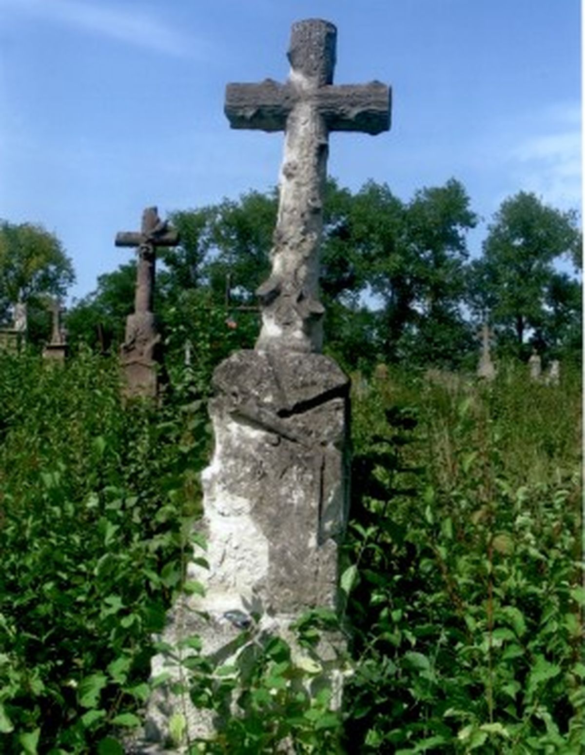 Tombstone of [Agnie]szka N.N., Strusowo cemetery