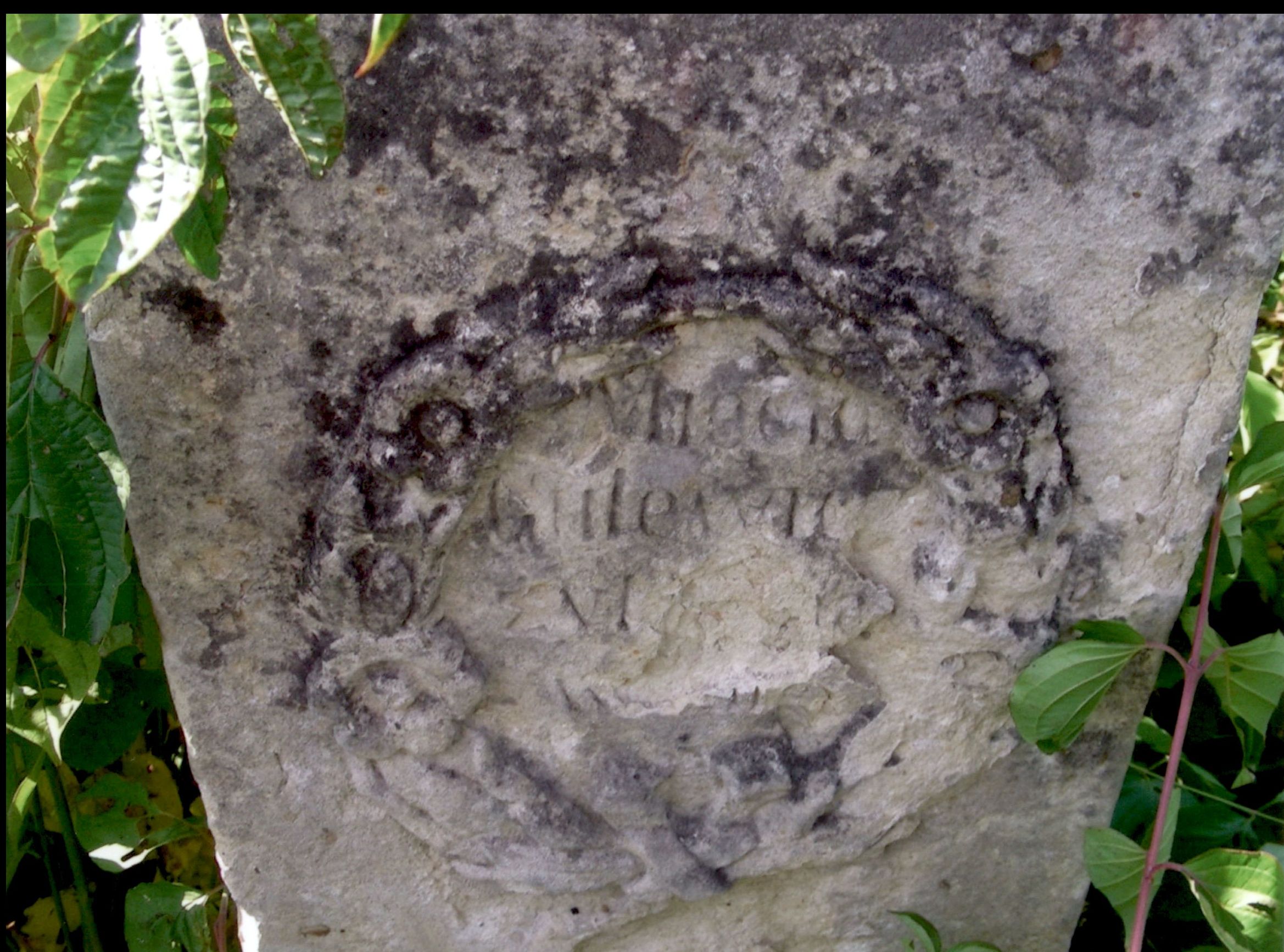 Tombstone Mieczysław Gulewicz, Strusowo cemetery