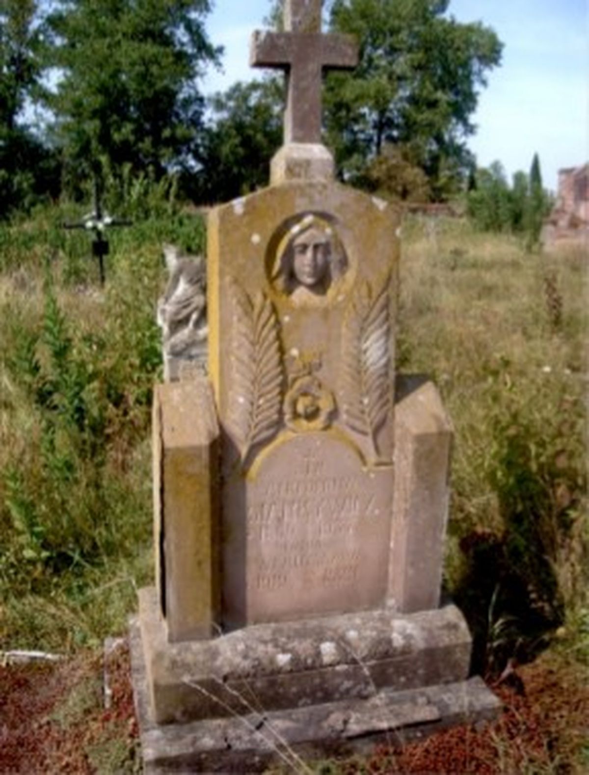 Tombstone of Antonin Siarkywicz, Władysław Siarkywicz, Strusowo cemetery