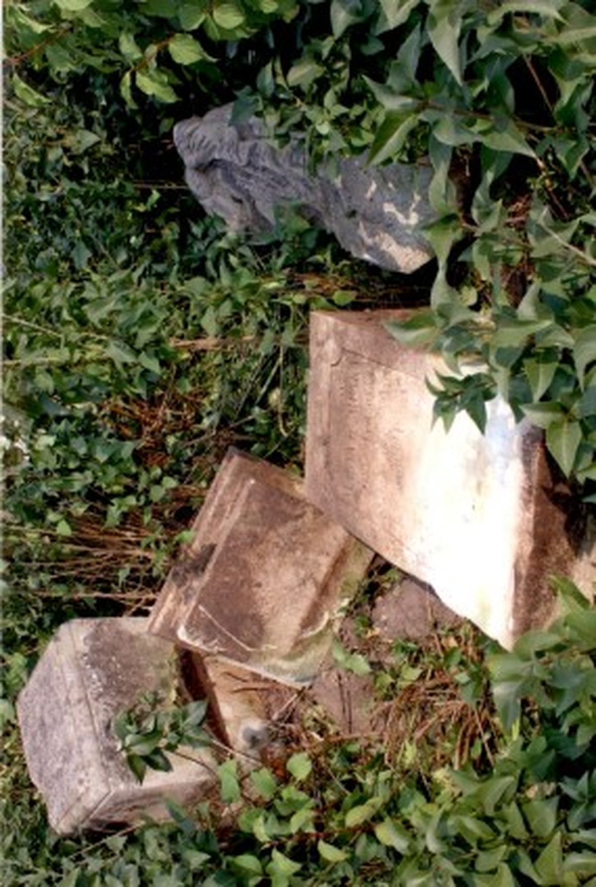 Gravestone of Agnieszka Zakrzewska, Wincenty Zakrzewski, Strusowo cemetery