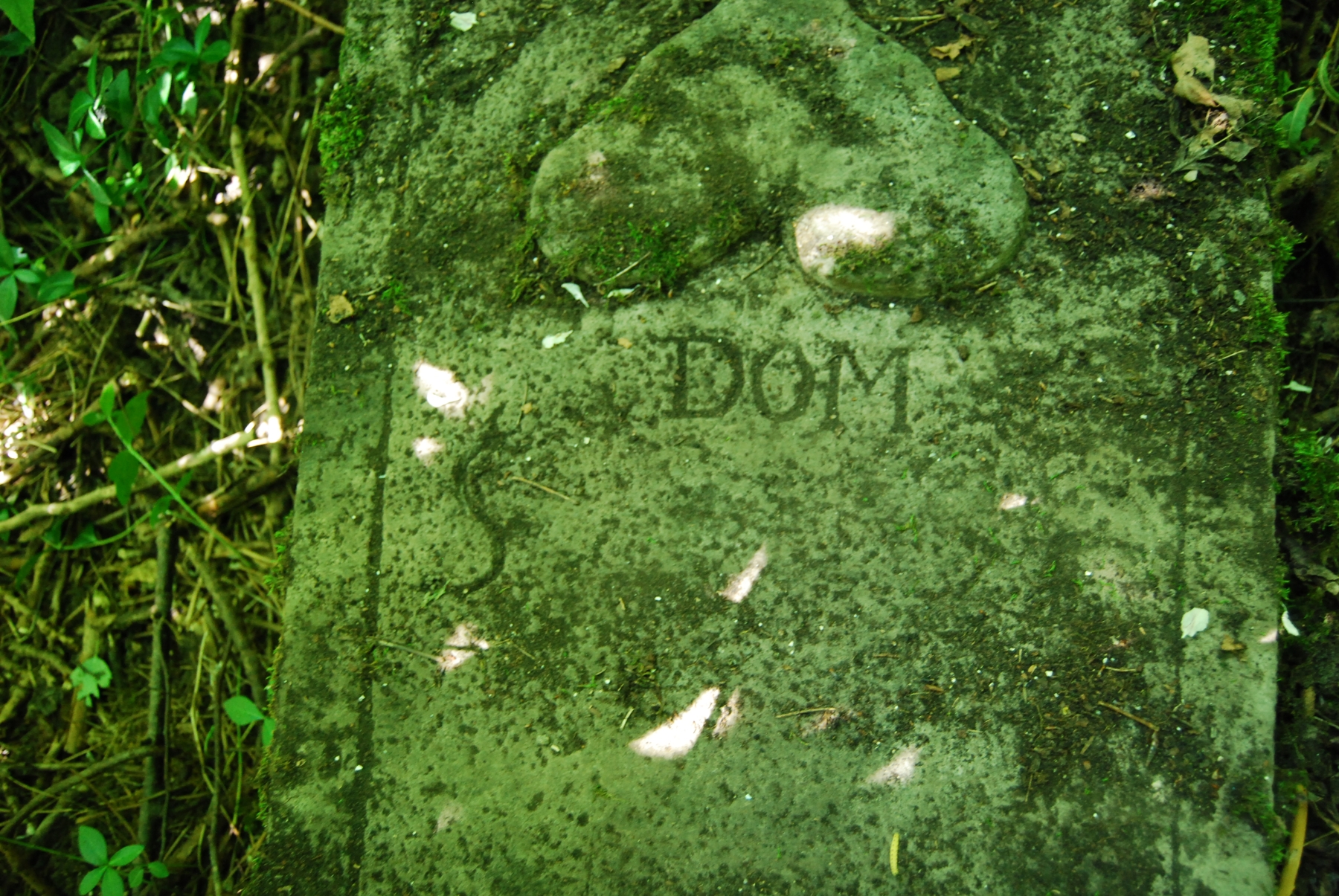 Inskrypcja z nagrobka N. N,, cmentarz w Bucniowie