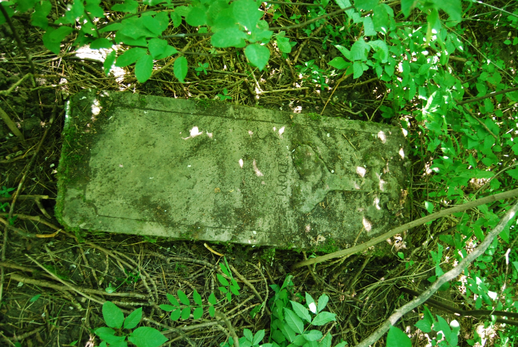 Nagrobek N. N,, cmentarz w Bucniowie