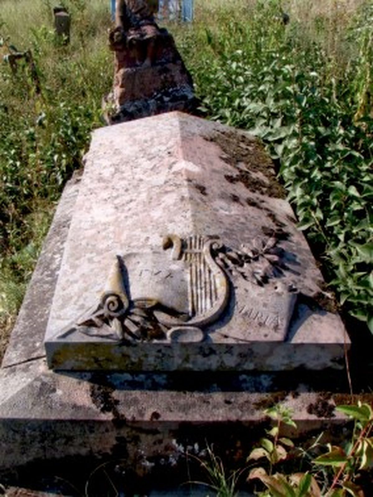 Gravestone Antoni Jastrzębski, Strusowo cemetery