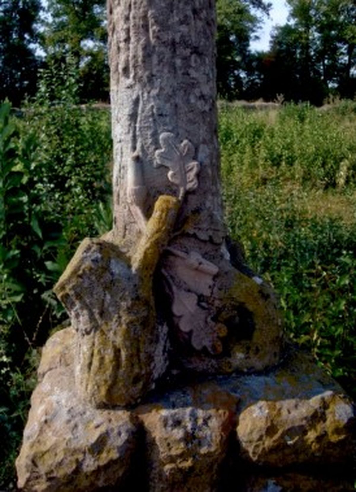 Tombstone Anna Kapusta, cemetery in Strusowo